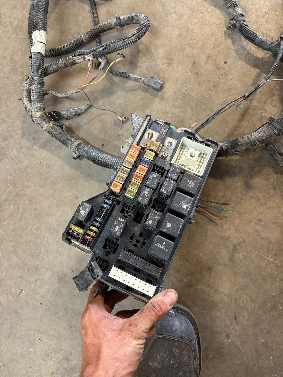 00 01 Dodge Ram Cummins Engine Bay Wiring Harness