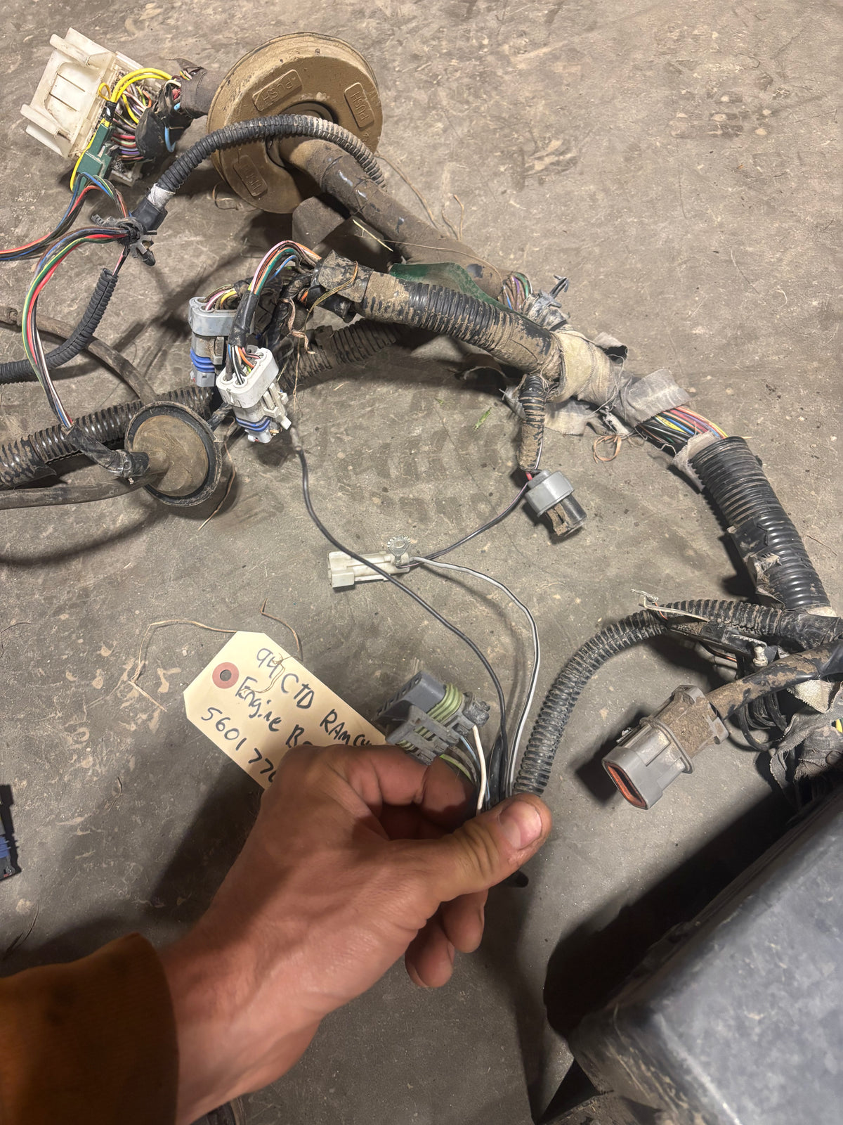 94 Dodge Ram Cummins Engine Bay Harness