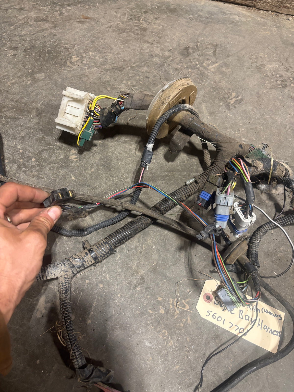 94 Dodge Ram Cummins Engine Bay Harness