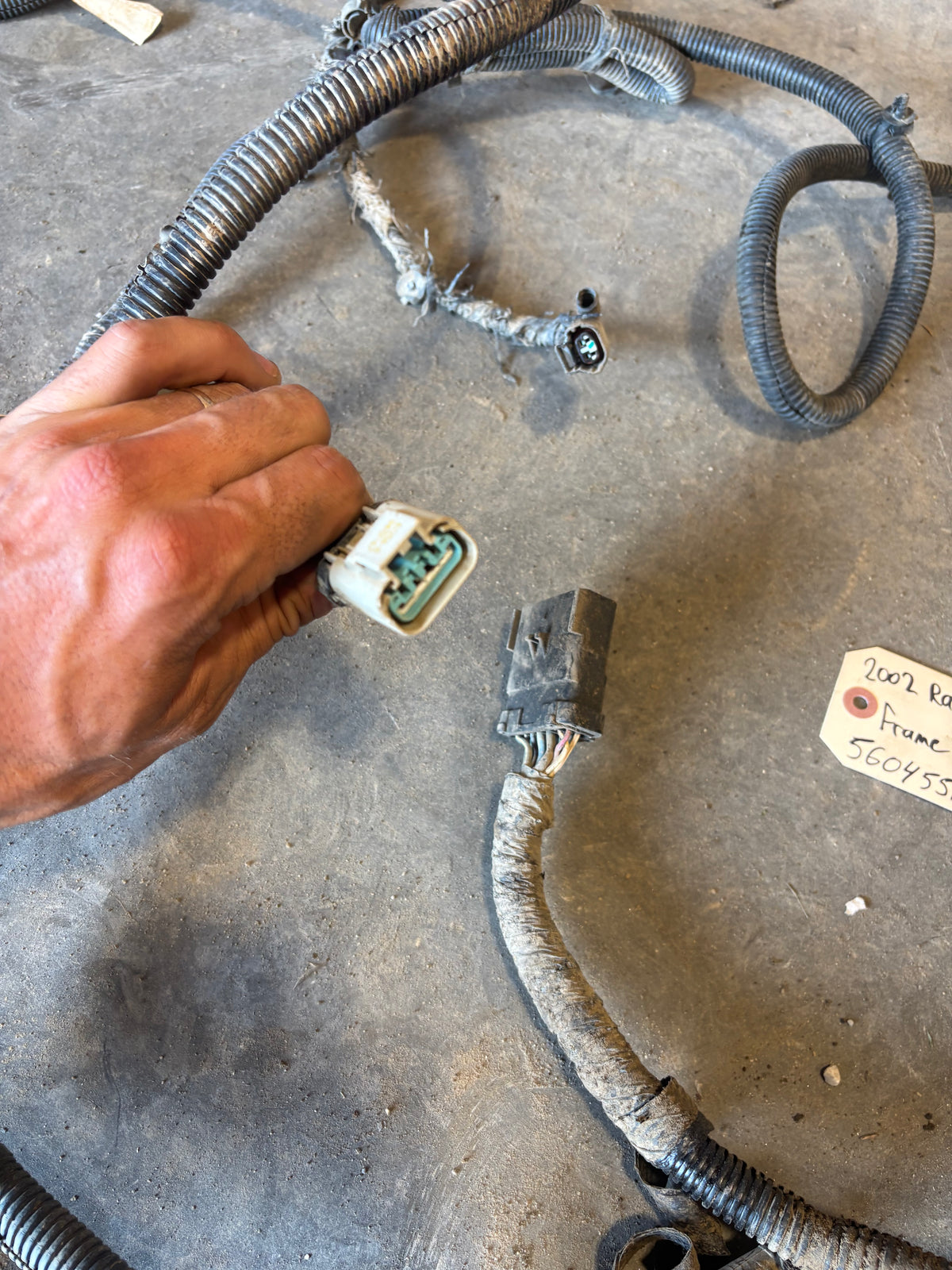 02 Dodge Ram Frame Wiring Harness