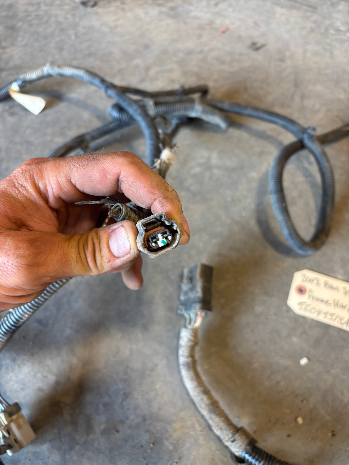 02 Dodge Ram Frame Wiring Harness