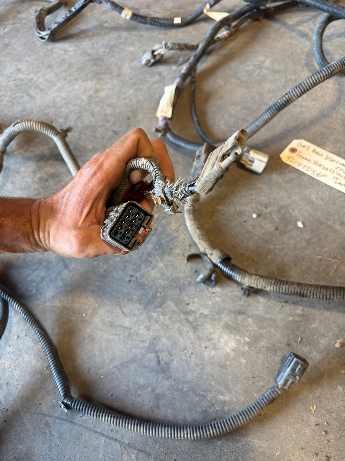 02 Dodge Ram Frame Wiring Harness