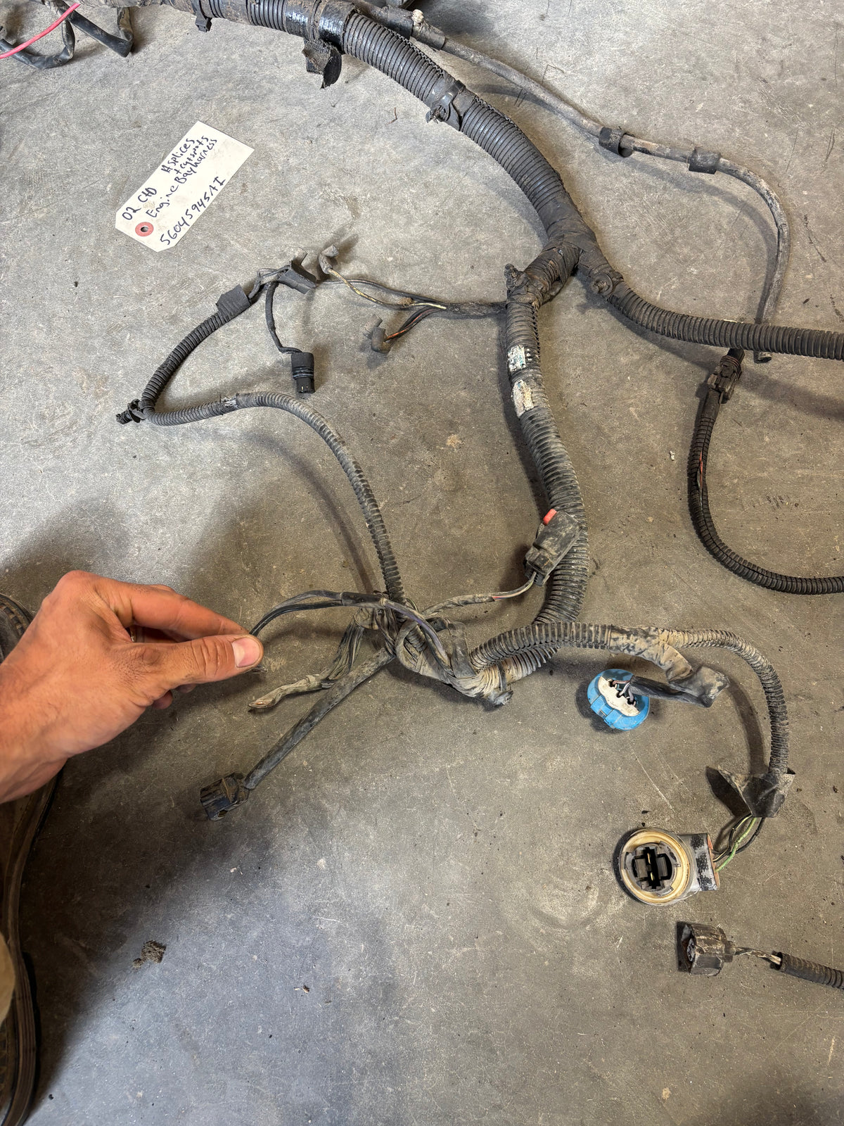 02 Dodge Ram Cummins Engine Bay Wiring Harness Fusebox