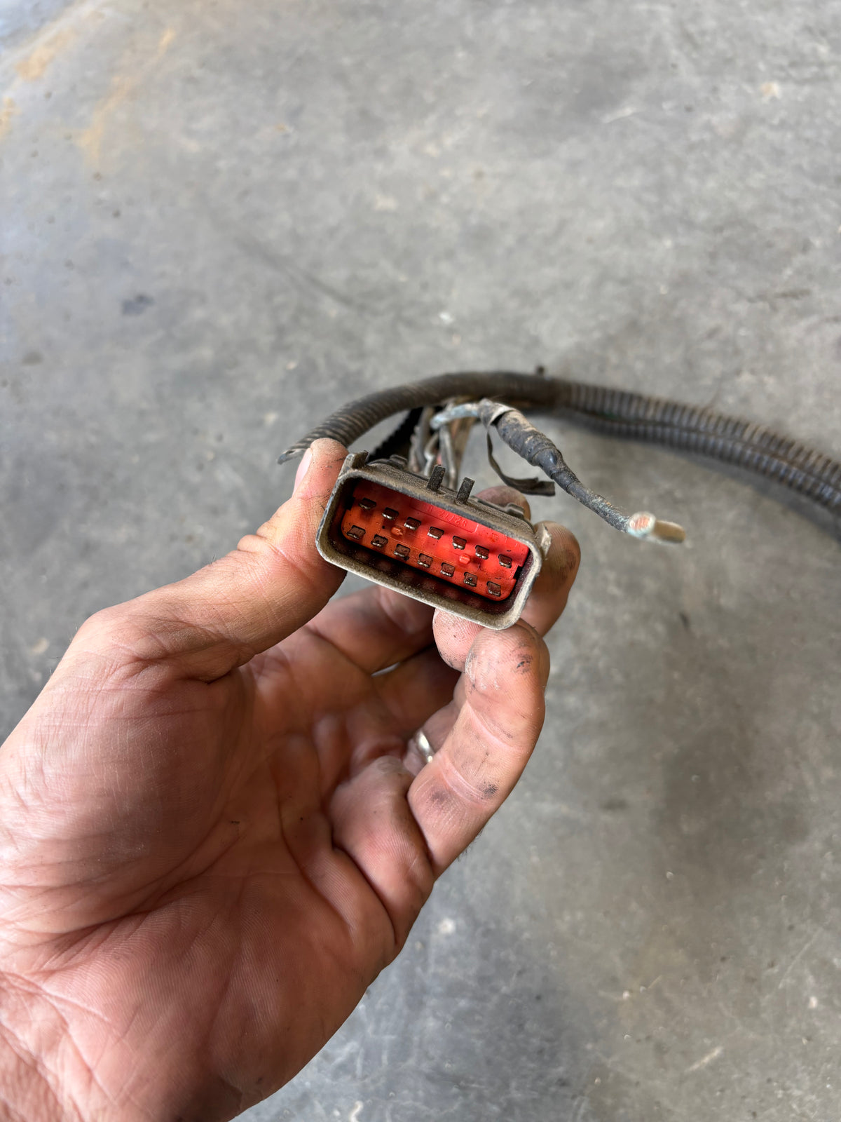 01-'02 Dodge Ram Frame Wiring Harness Ext Sb Or Ext Lb