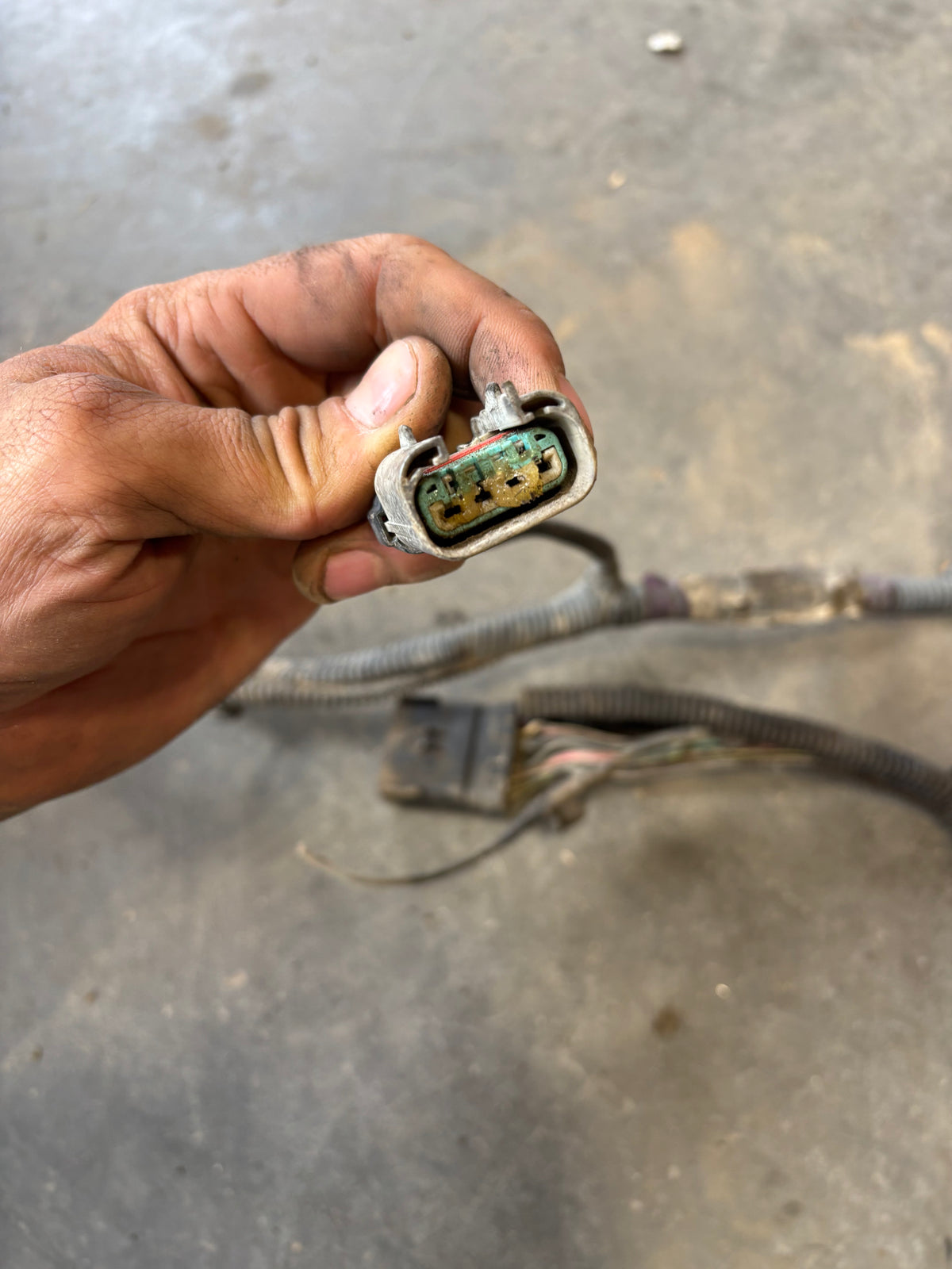 01-'02 Dodge Ram Frame Wiring Harness Ext Sb Or Ext Lb