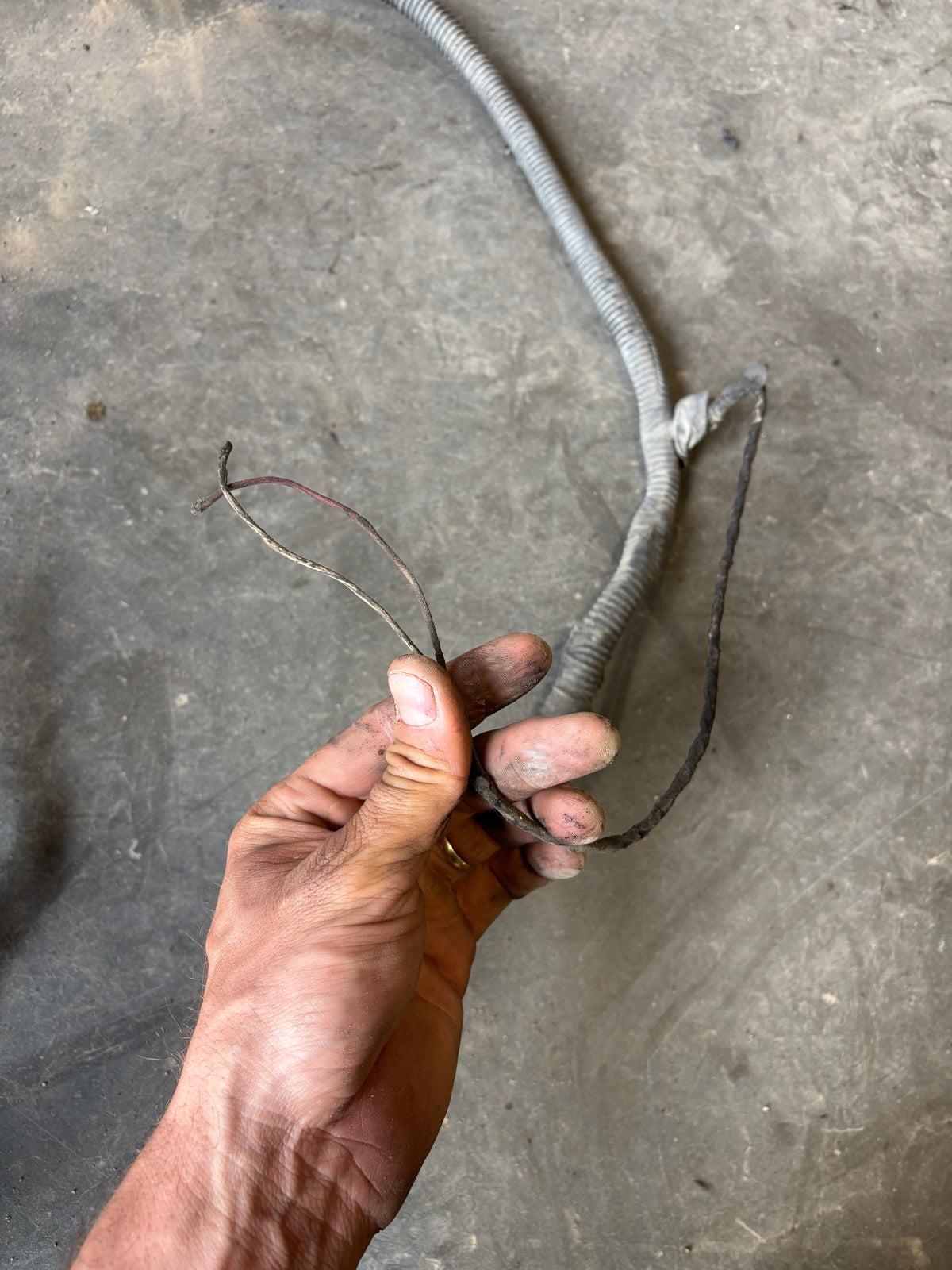 01-'02 Dodge Ram Frame Wiring Harness Ext Sb Or Ext Lb