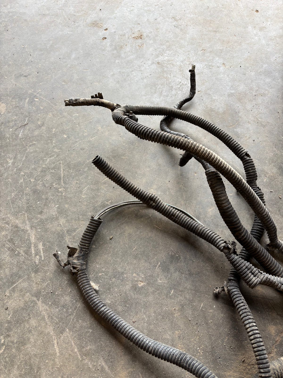 01-'02 Dodge Ram Frame Wiring Harness Ext Sb Or Ext Lb