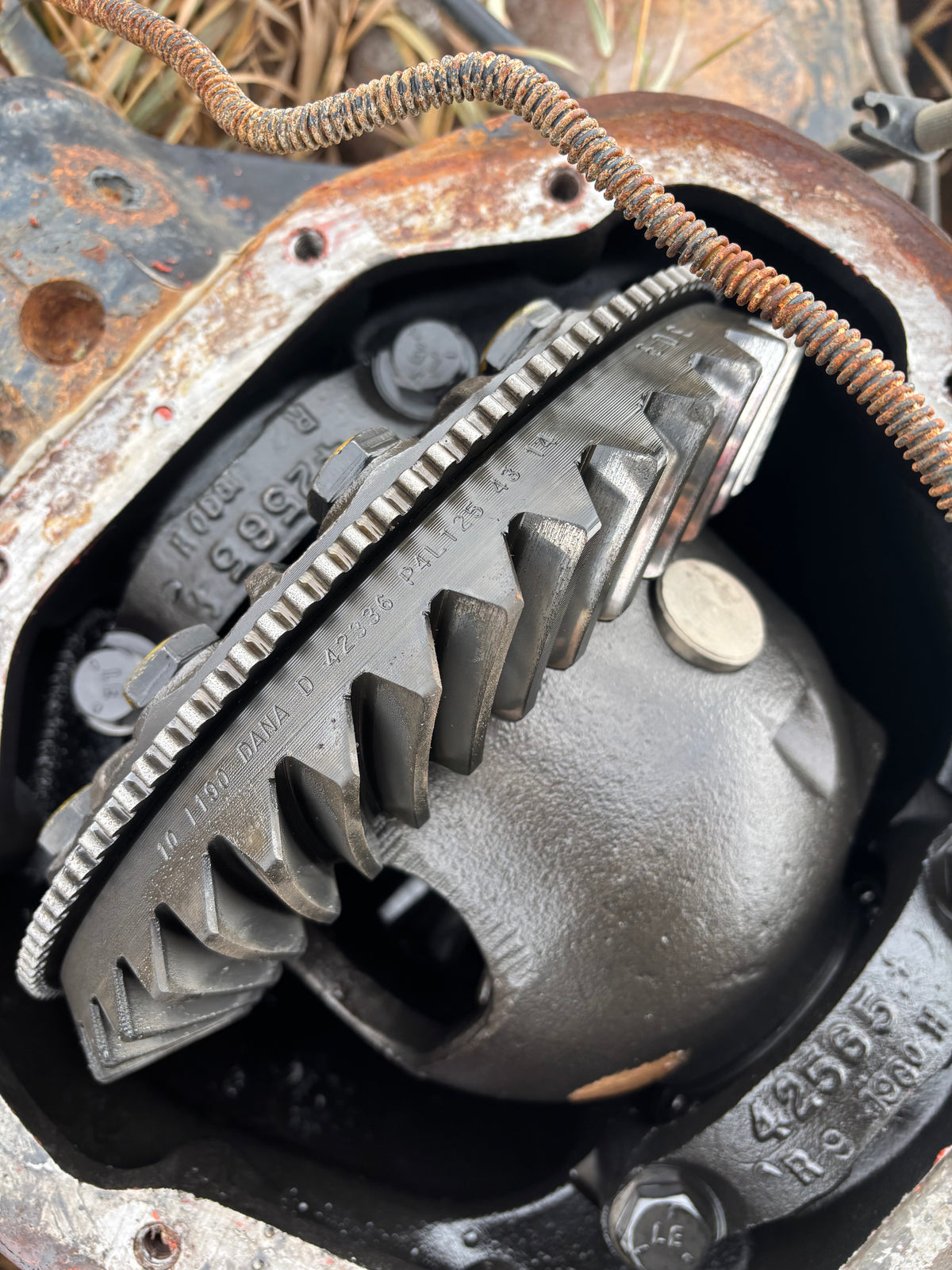 1989-1993 RAM 250 CUMMINS DANA 70 SRW REAR DIFF 307 GEARS OPEN