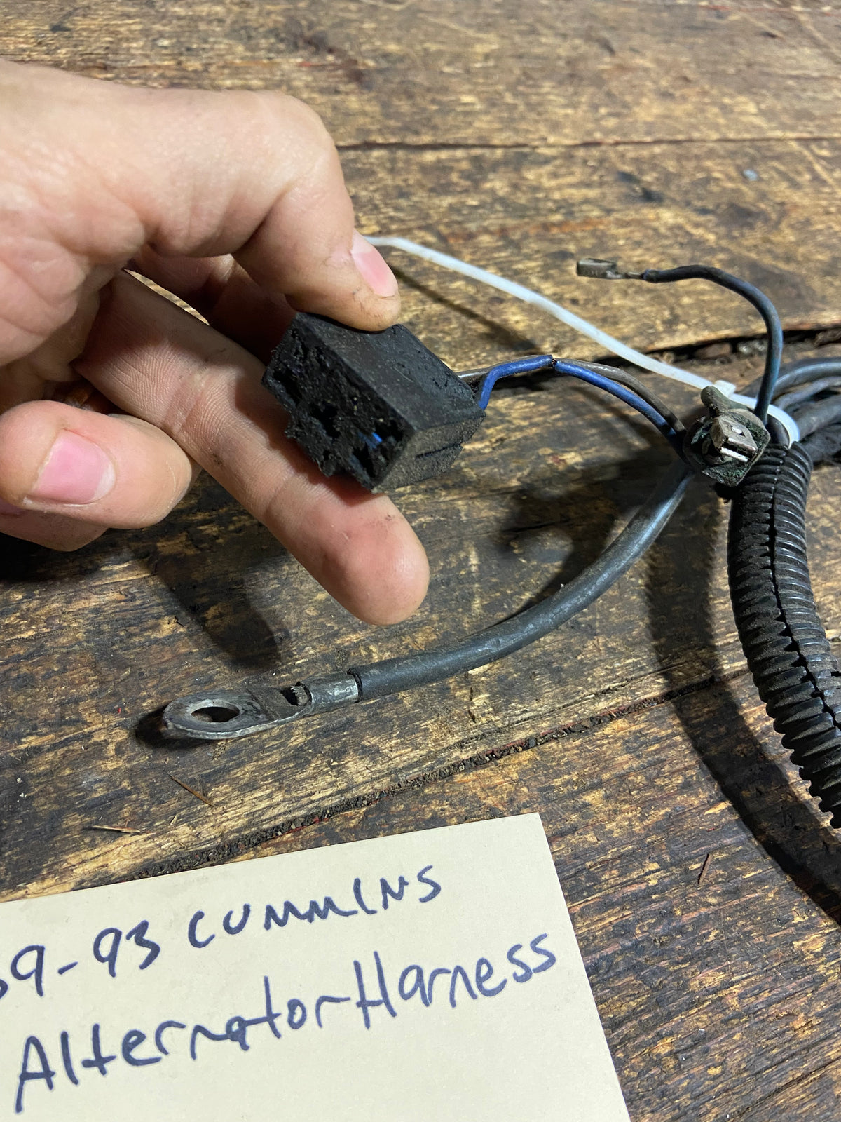 89-&#39;93 Dodge Ram 5.9L 1st Gen Cummins Alternator Harness