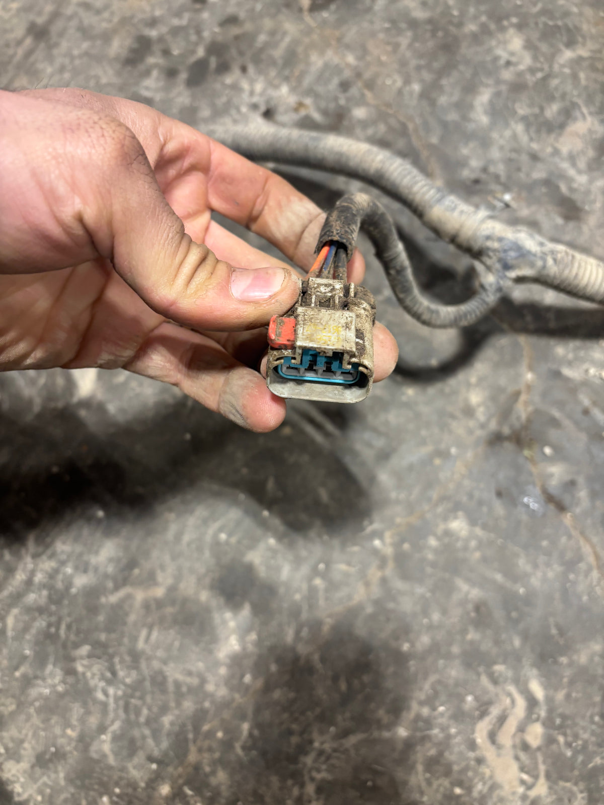 08 Dodge Ram Cummins Frame Chassis Wiring Harness (4dr Sb) 56055262