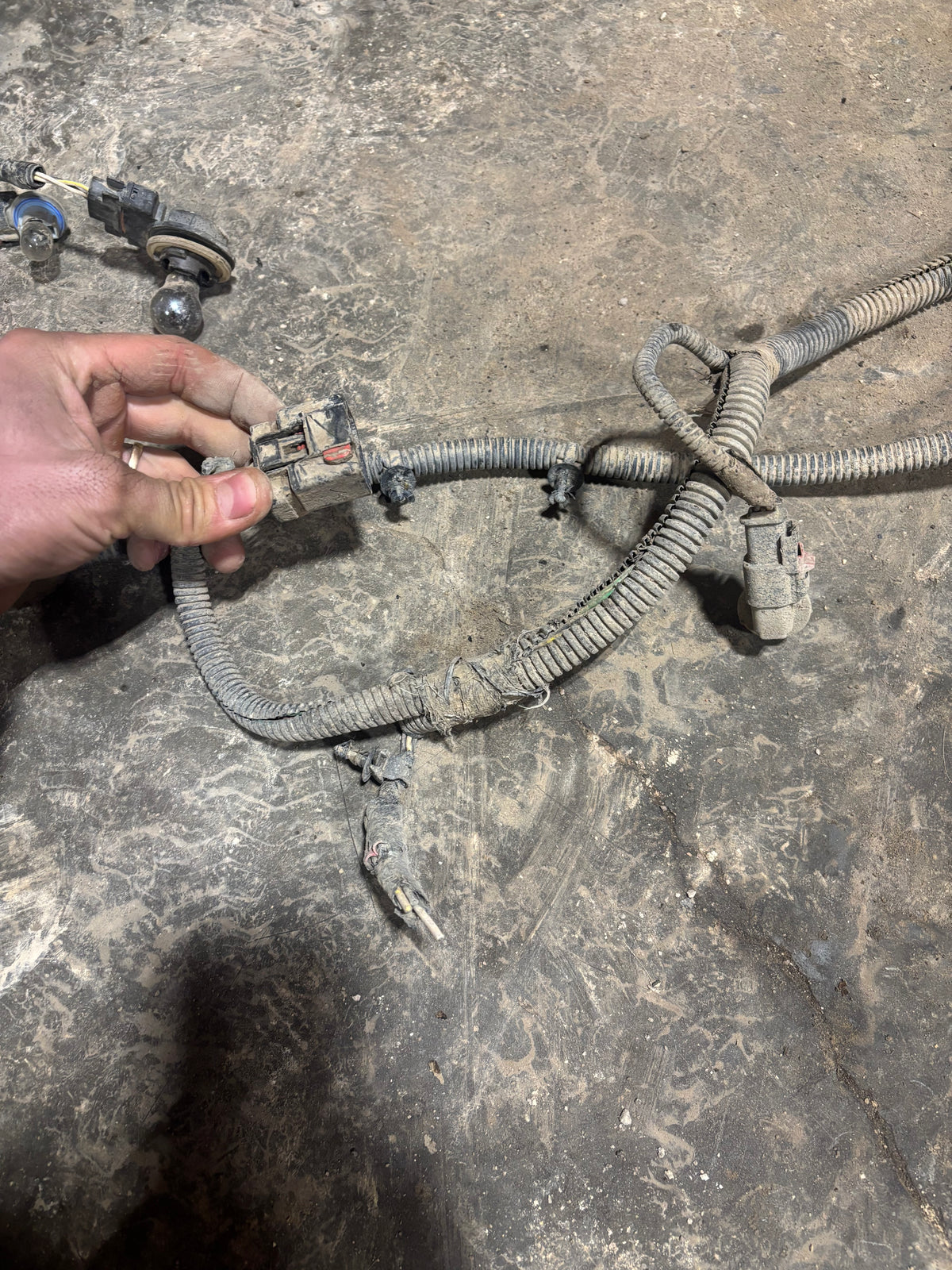 08 Dodge Ram Cummins Frame Chassis Wiring Harness (4dr Sb) 56055262