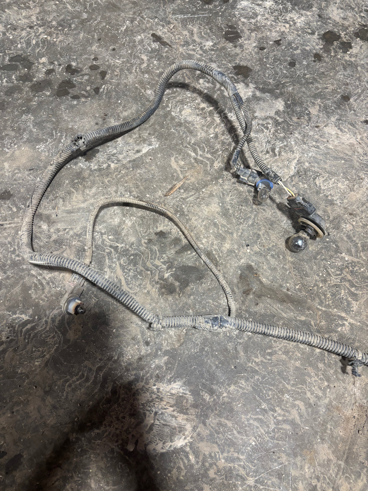 08 Dodge Ram Cummins Frame Chassis Wiring Harness (4dr Sb) 56055262