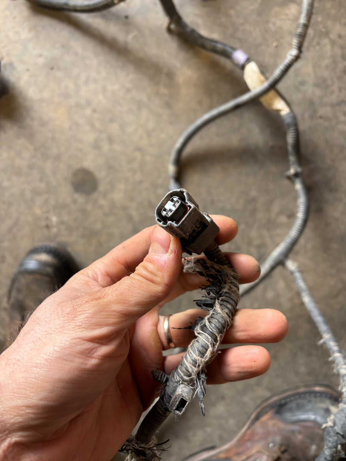 2001 2002 Dodge Ram 2500/3500 Frame Wiring Harness Ext SB Or Ext Lb 56045518AD