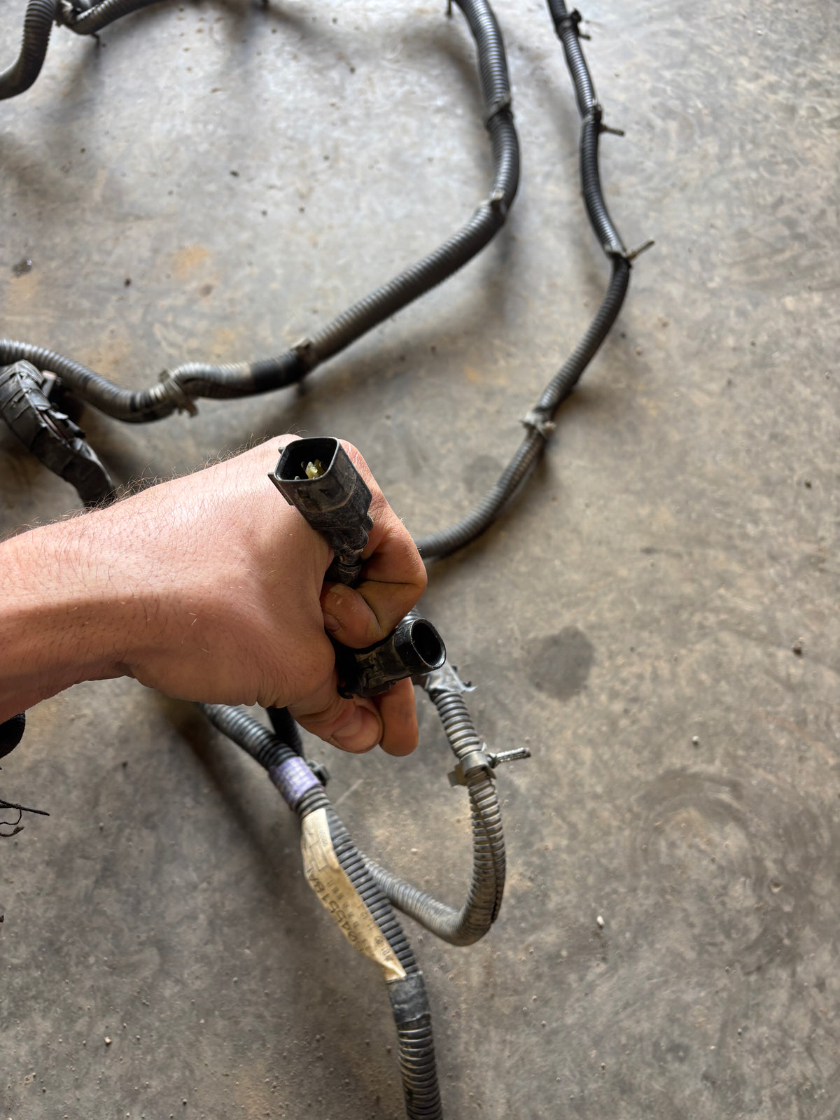 2001 2002 Dodge Ram 2500/3500 Frame Wiring Harness Ext SB Or Ext Lb 56045518AD