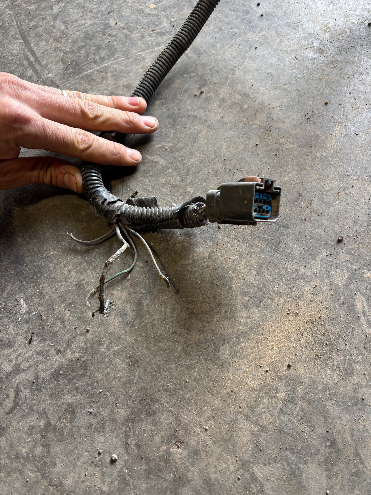 2001 2002 Dodge Ram 2500/3500 Frame Wiring Harness Ext SB Or Ext Lb 56045518AD