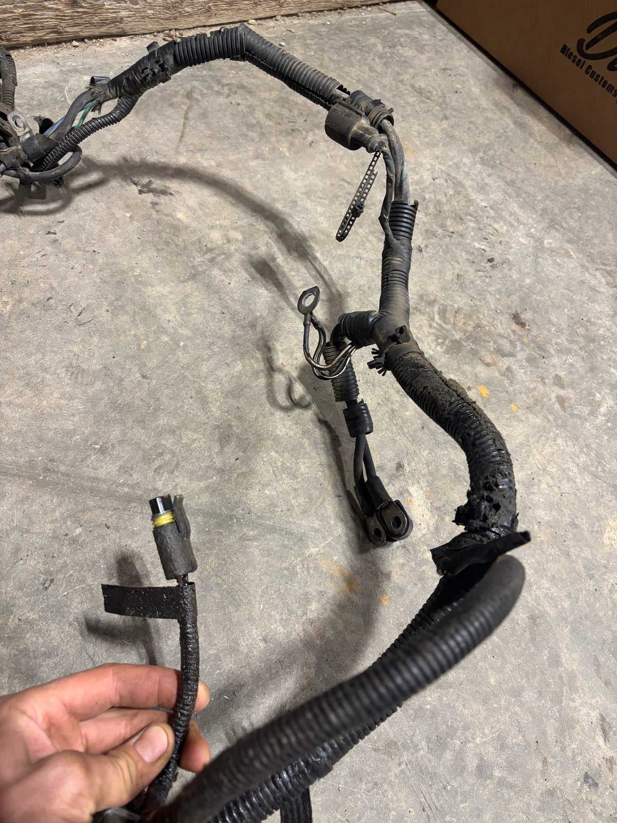 94 Dodge Ram 12V Cummins Engine/Manual Trans Harness 2WD