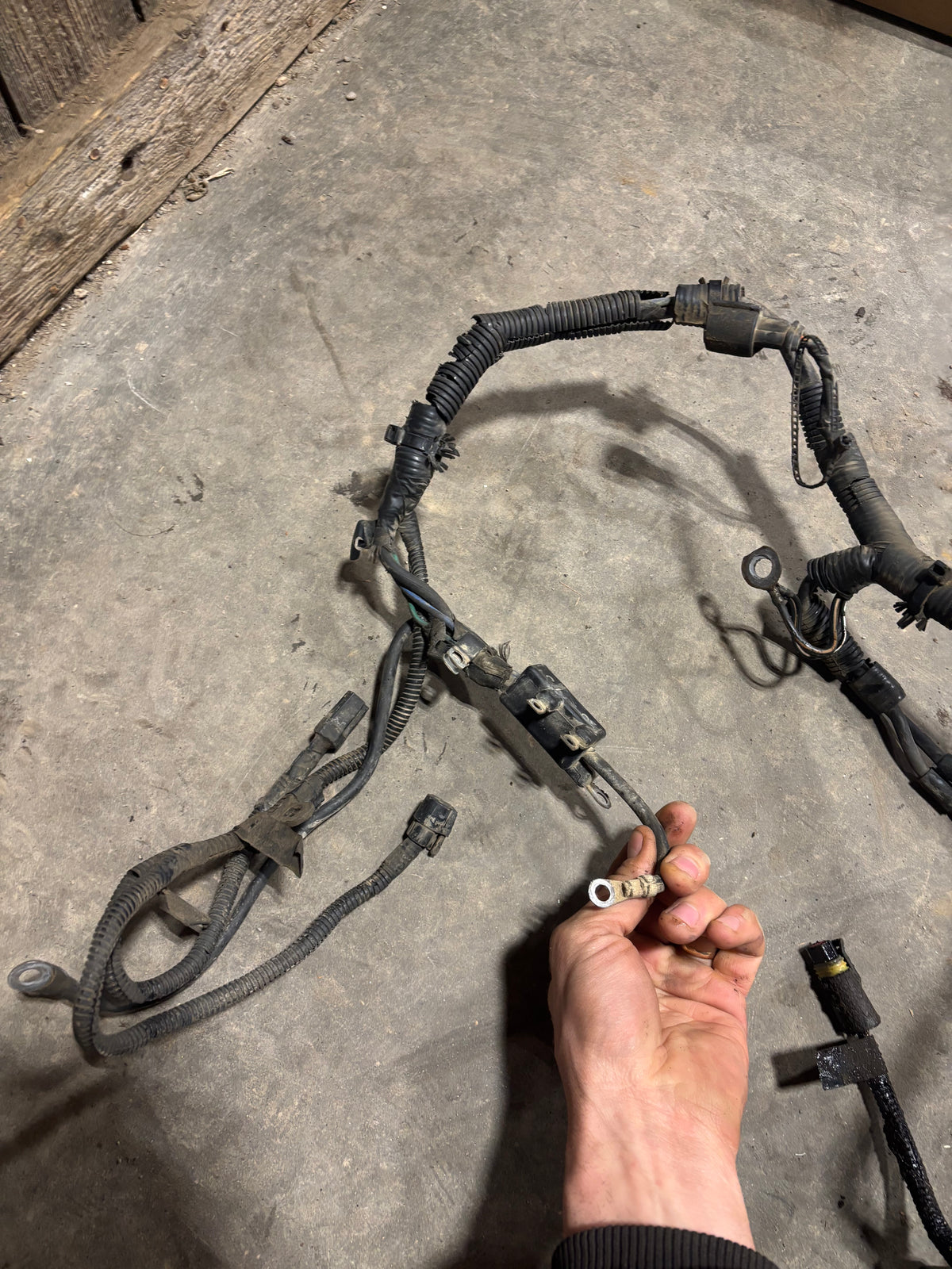 94 Dodge Ram 12V Cummins Engine/Manual Trans Harness 2WD