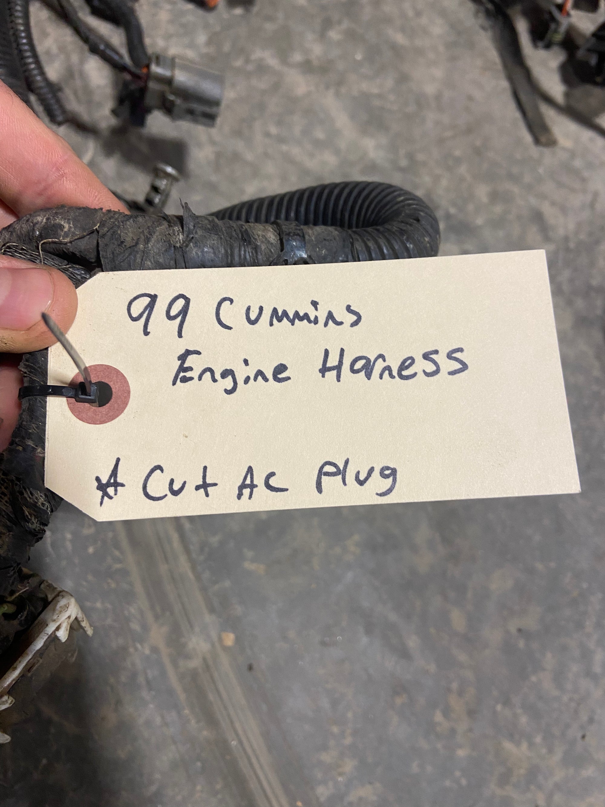 99 Dodge Ram 5.9L 24V Cummins Engine Wiring Harness