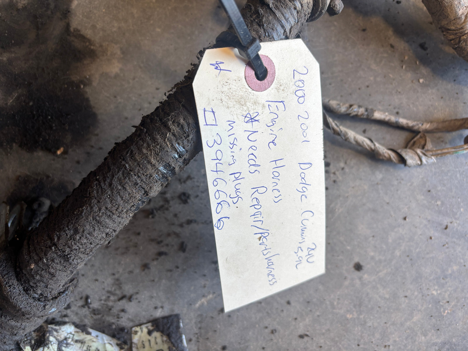 Early 2000 Ram Cummins 24V Engine Harness (Needs Repair)