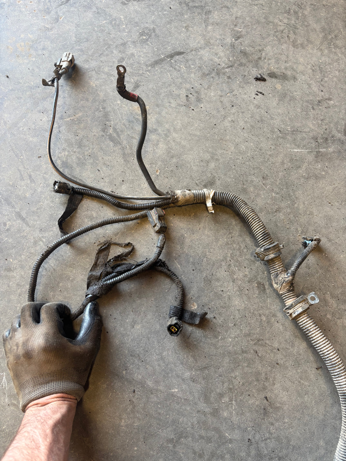 Early 2000 Ram Cummins 24V Engine Harness (Needs Repair)