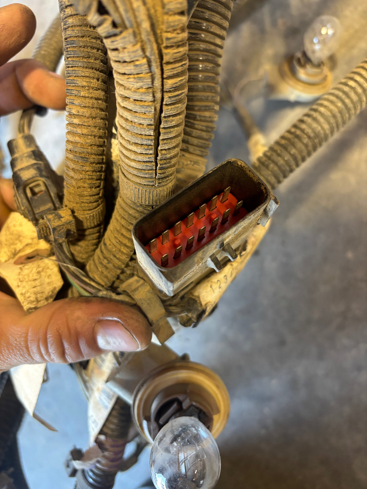 98-'02 Dodge Ram Frame Wiring Harness Ext Cab Longbox