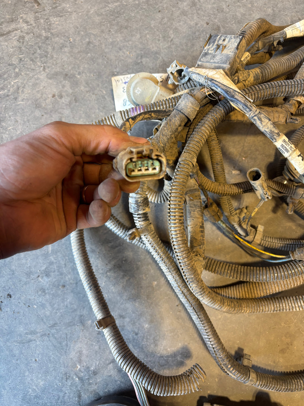 98-'02 Dodge Ram Frame Wiring Harness Ext Cab Longbox