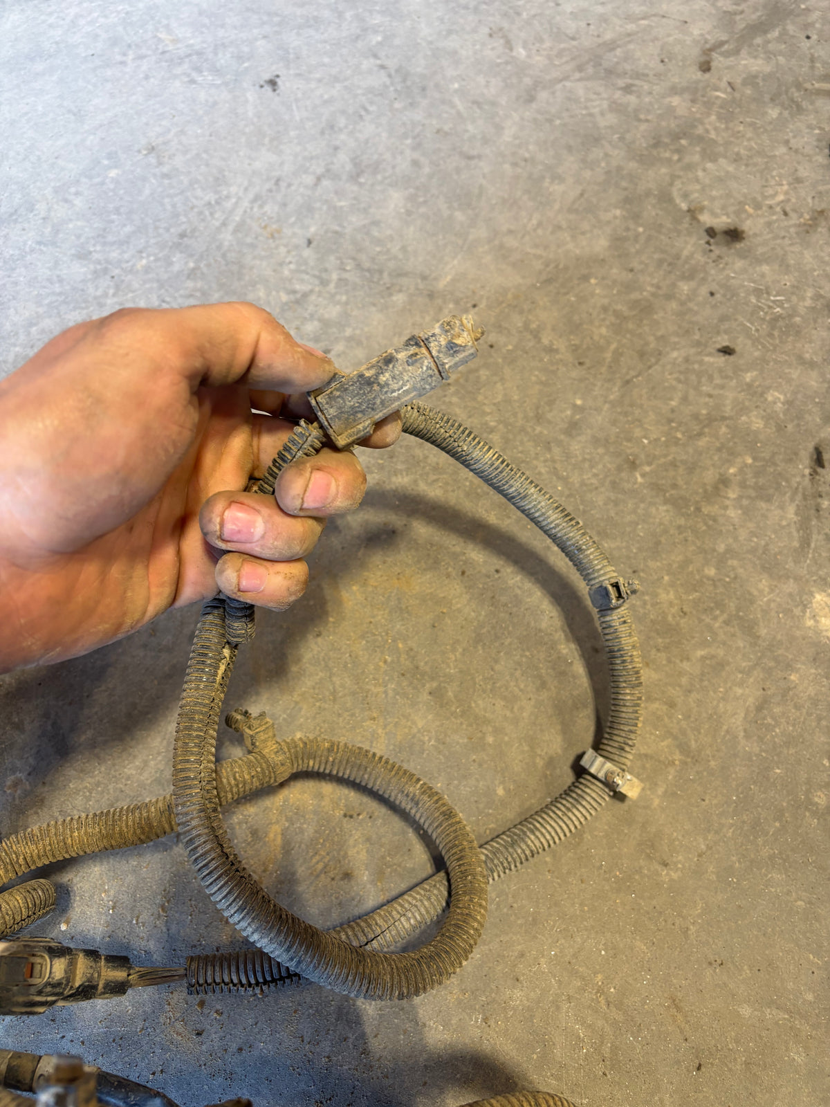 98-'02 Dodge Ram Frame Wiring Harness Ext Cab Longbox