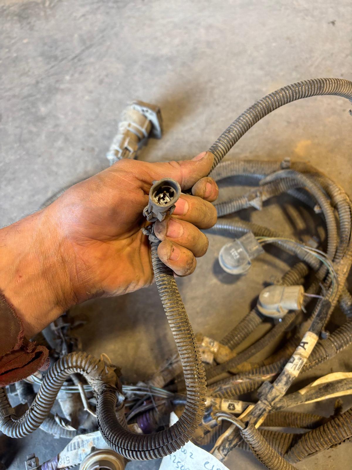 98-'02 Dodge Ram Frame Wiring Harness Ext Cab Longbox