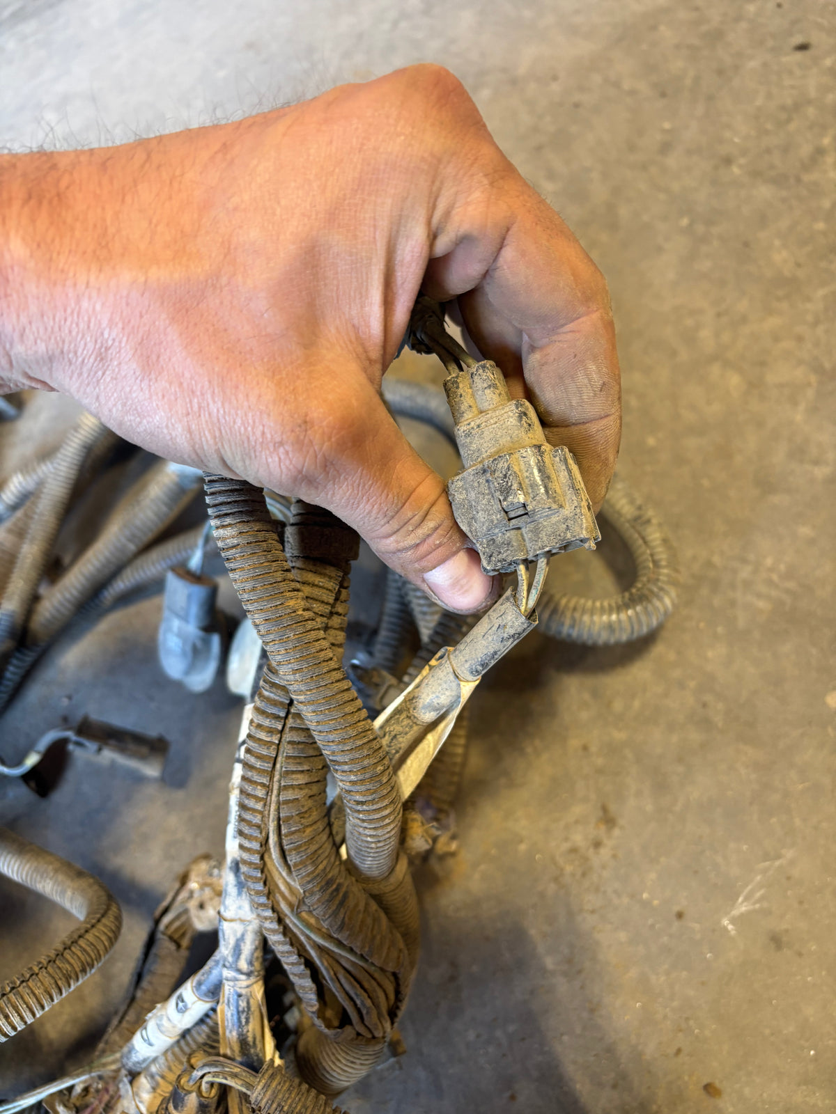 98-'02 Dodge Ram Frame Wiring Harness Ext Cab Longbox