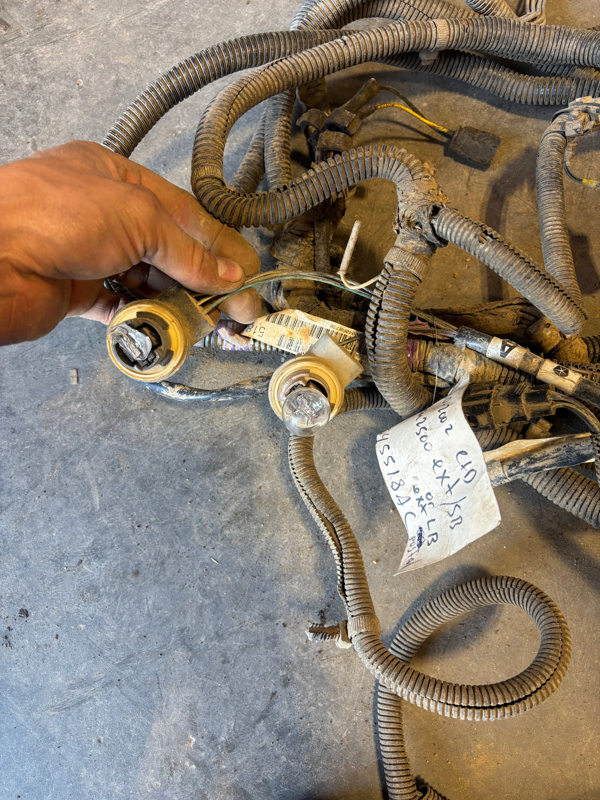 98-'02 Dodge Ram Frame Wiring Harness Ext Cab Longbox