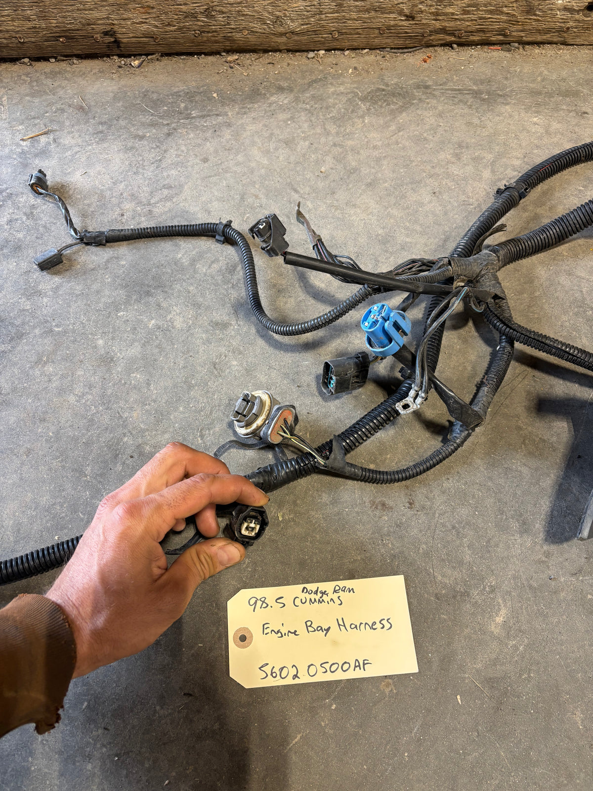 98 Dodge Ram 5.9L 24V Cummins Engine Bay Harness