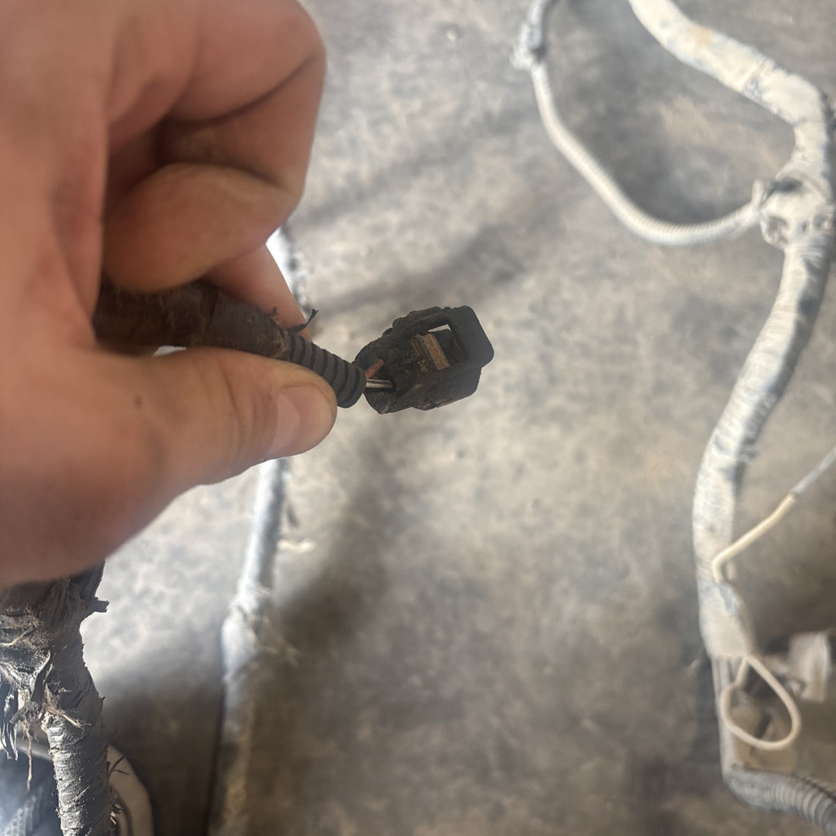 1998 DODGE RAM 2500 CUMMINS FRAME WIRING HARNESS EXT CAB SHRT/long Bx 56020492AB