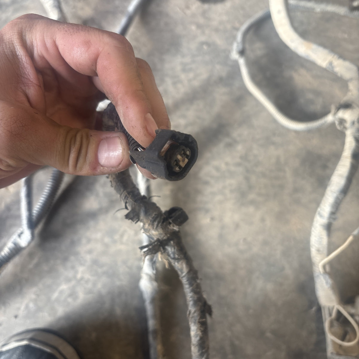 1998 DODGE RAM 2500 CUMMINS FRAME WIRING HARNESS EXT CAB SHRT/long Bx 56020492AB