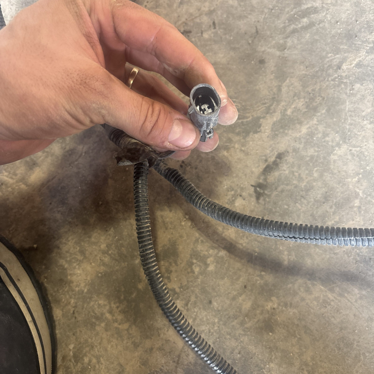 1998 DODGE RAM 2500 CUMMINS FRAME WIRING HARNESS EXT CAB SHRT/long Bx 56020492AB