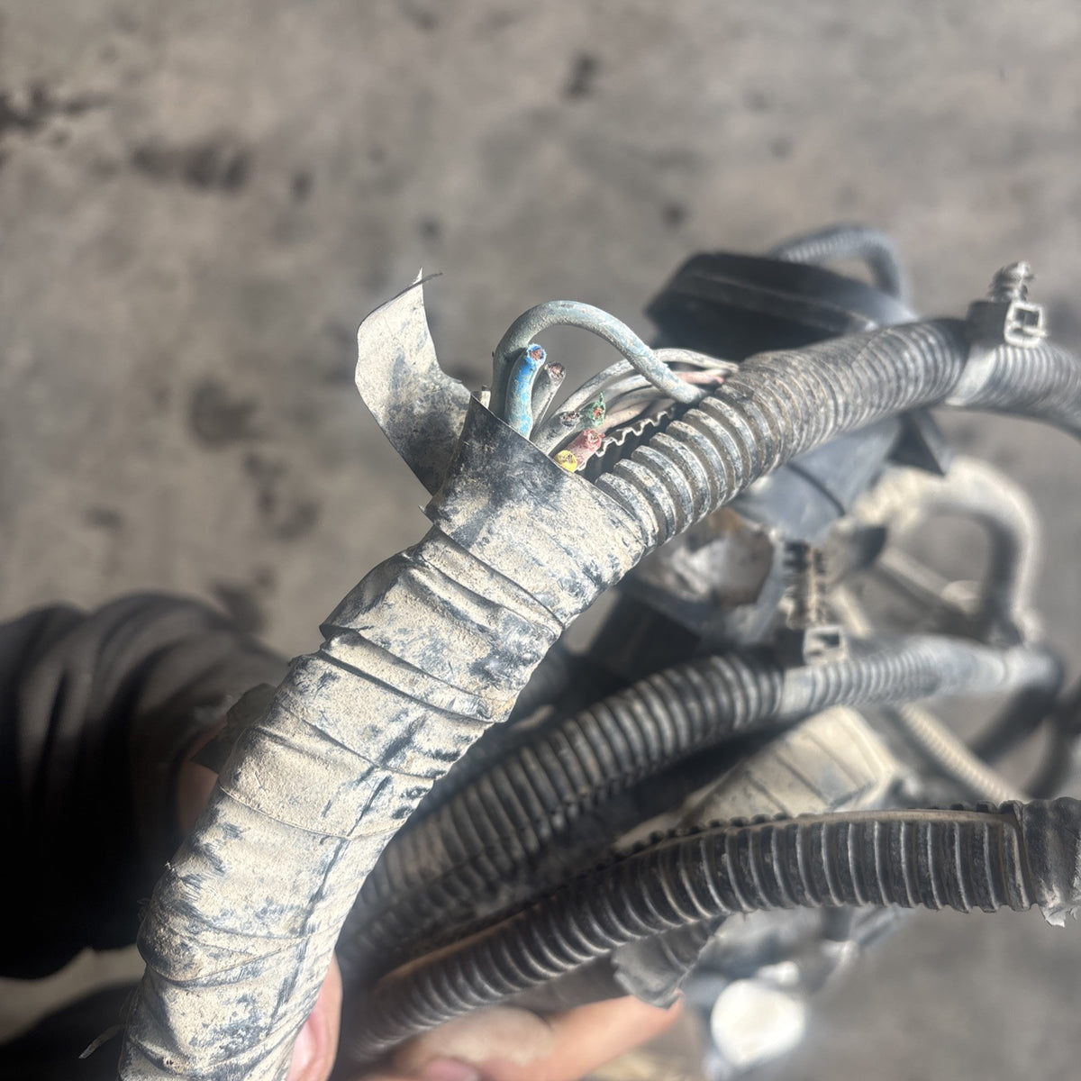 1998 DODGE RAM 2500 CUMMINS FRAME WIRING HARNESS EXT CAB SHRT/long Bx 56020492AB