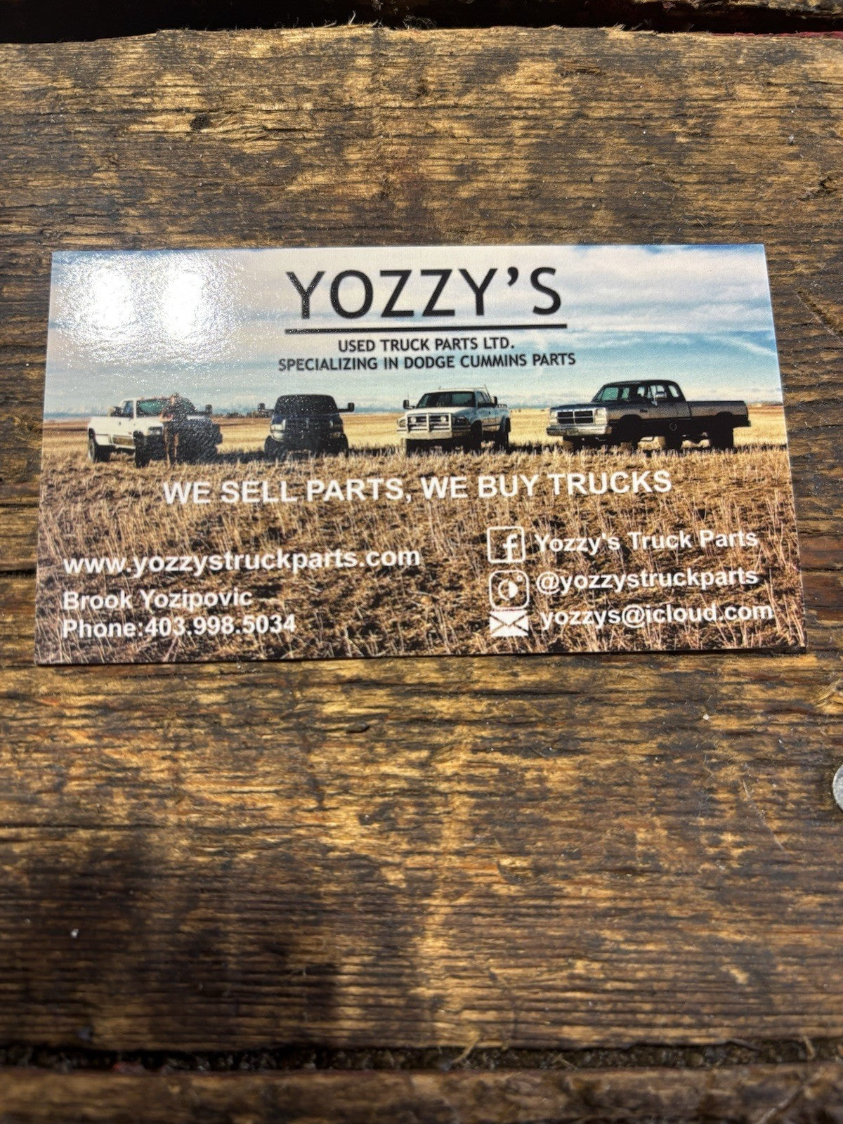 OEM 1998-2002 DODGE RAM 1500/2500/3500 PARK BRAKE RELEASE HANDLE LIGHT MIST GREY