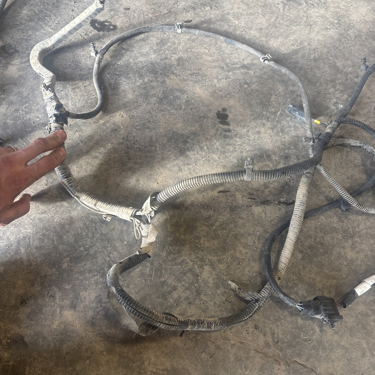 1998 DODGE RAM 2500 CUMMINS FRAME WIRING HARNESS EXT CAB SHRT/long Bx 56020492AB